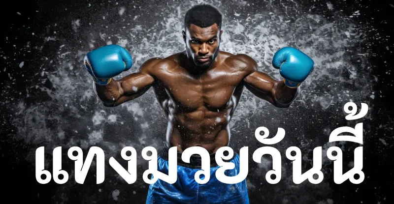 พักยก 369